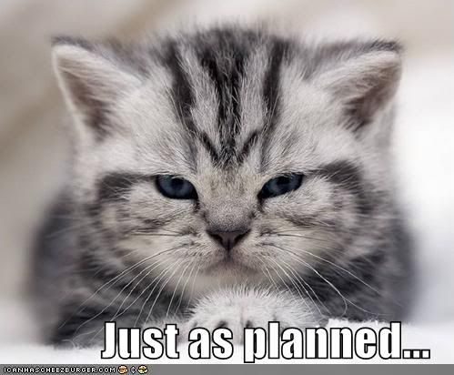 Forum Image: http://i891.photobucket.com/albums/ac111/ShionDeHades/justasplanne128584548650291636.jpg