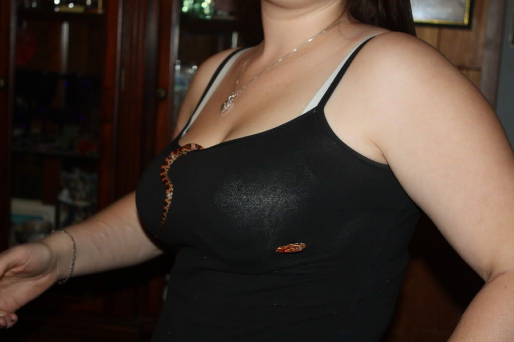IMG_2469.jpg