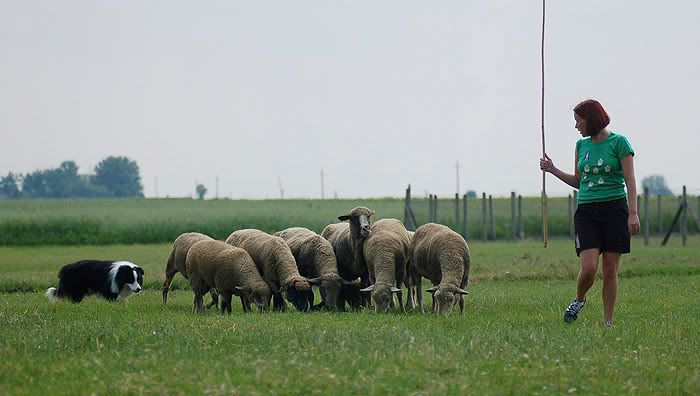 Rakoczif20100703044.jpg