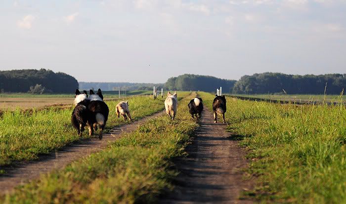 Rfalva20100820152.jpg