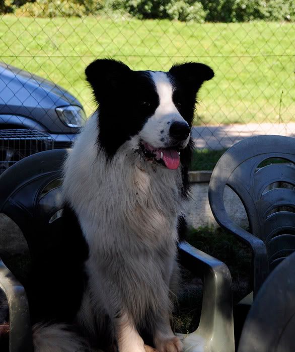 Rfalva20100821587.jpg