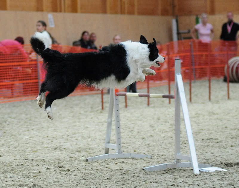 agility20100925024.jpg