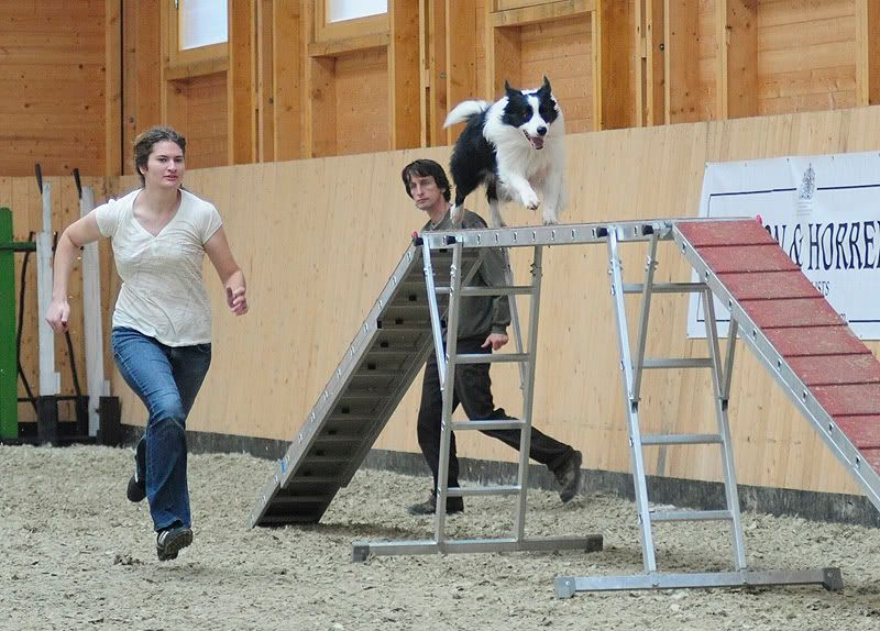 agility20100925032.jpg