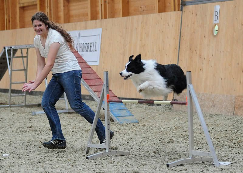 agility20100925035.jpg