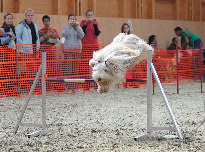 agility20100925130.jpg