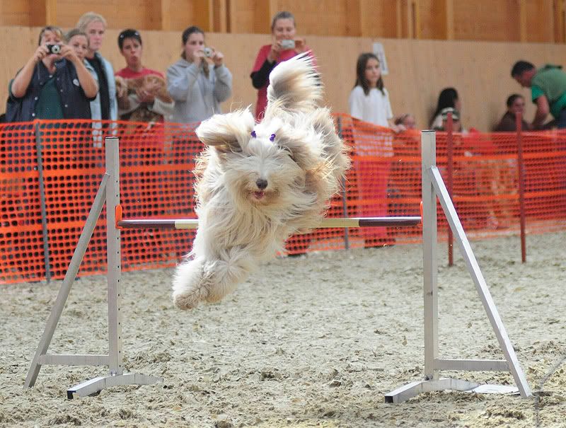 agility20100925138.jpg
