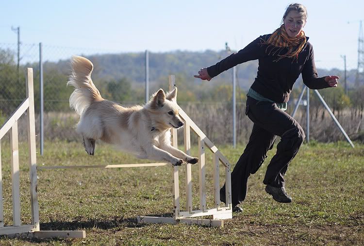 agility20101022008.jpg