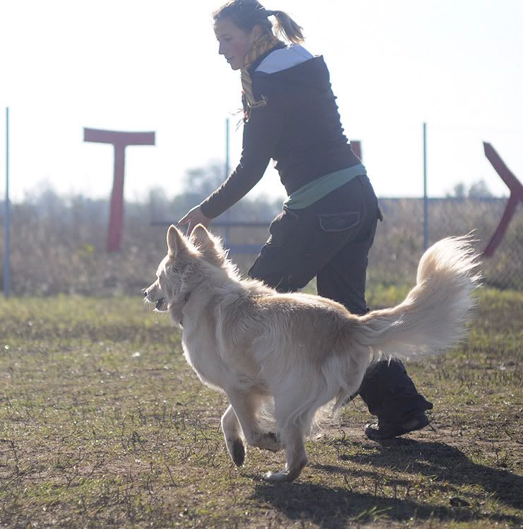 agility20101022019.jpg