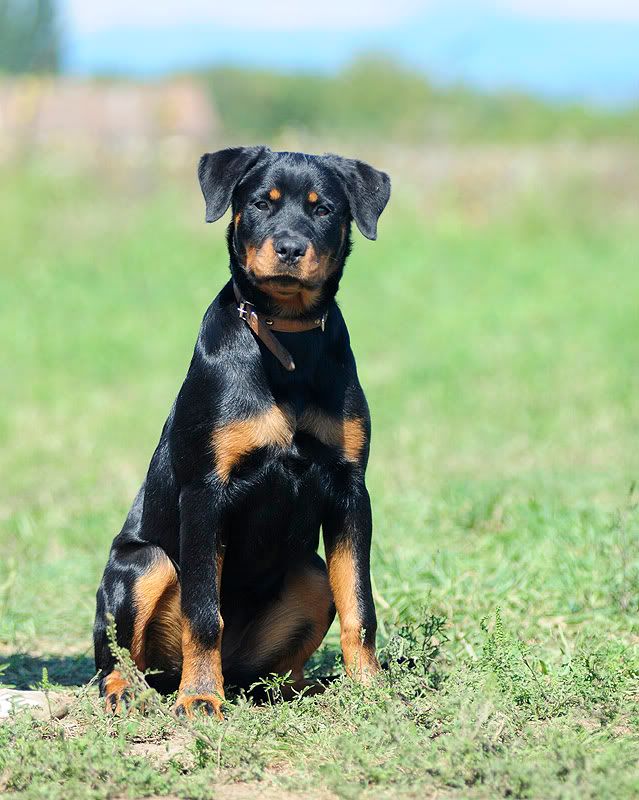 Bonnie20100829454.jpg