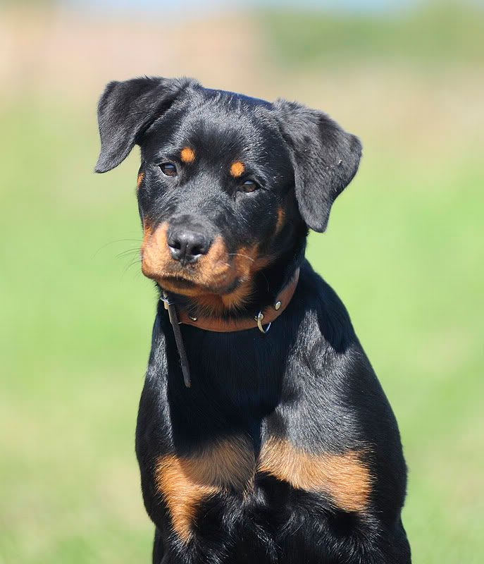 Bonnie20100829460.jpg