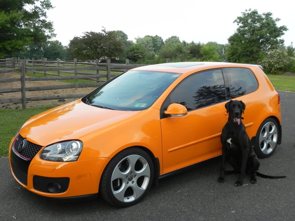 Kudos to AWE Tuning VW Vortex Volkswagen Forum