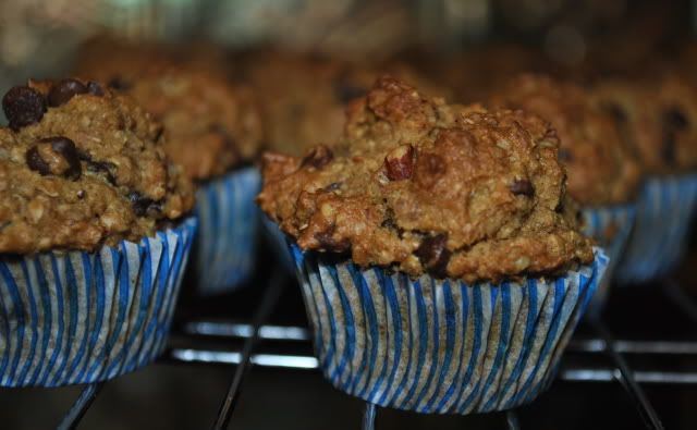 Warm Vegan Muffins Pictures, Images and Photos