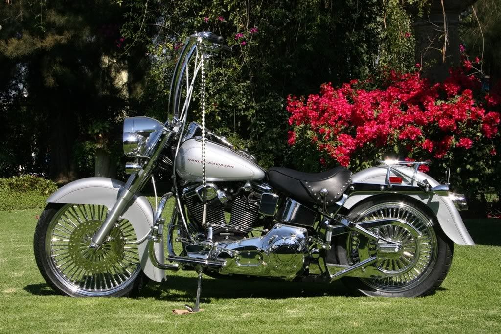 carlini gangster apes softail deluxe