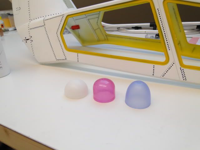 DSC00424.jpg