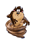 taz run Pictures, Images and Photos