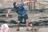 photo 22puppies__16_.jpg