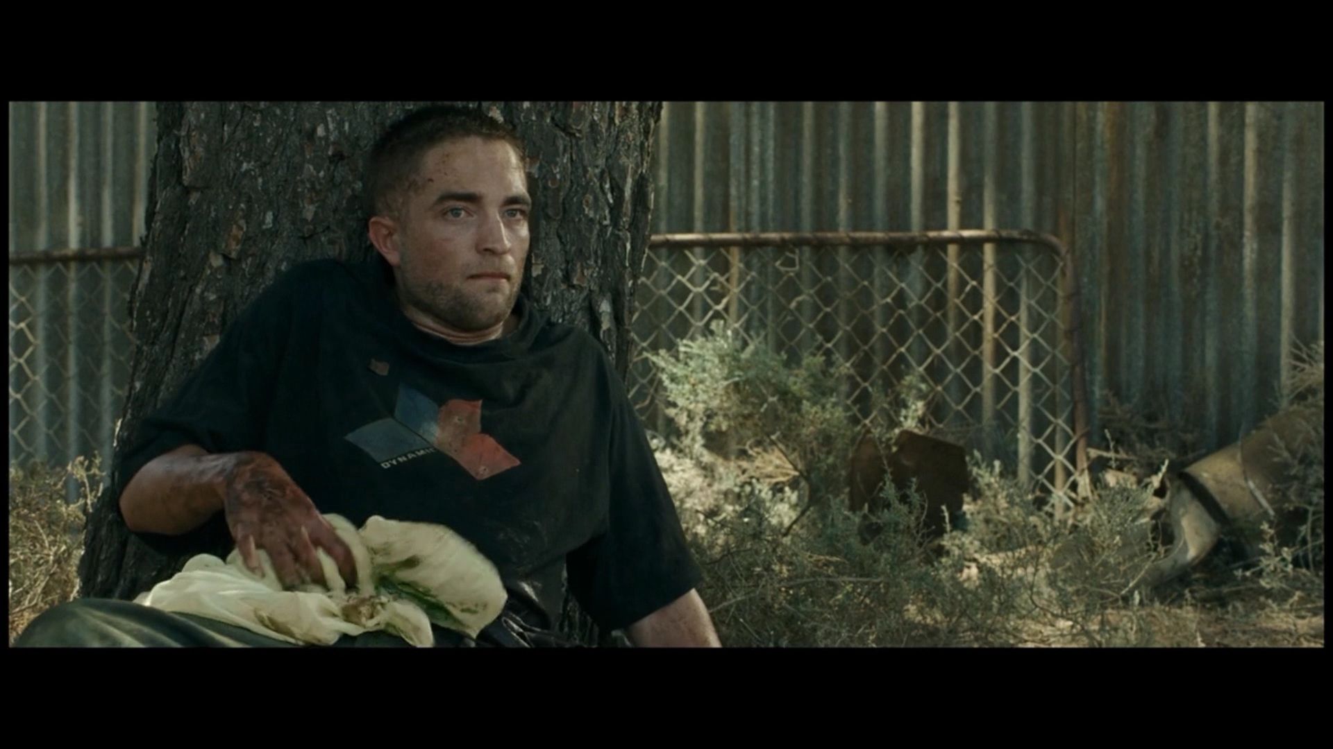photo TheRoverTeaserTrailer59.jpg