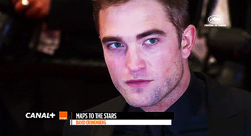 photo 2014Cannes5.gif