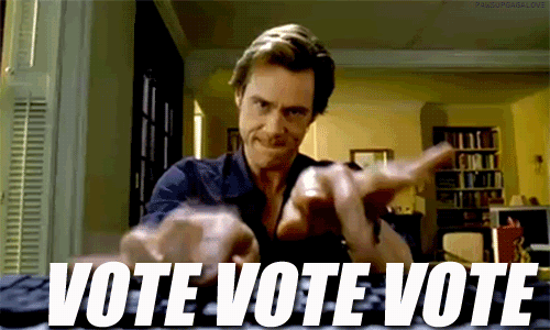 photo vote.gif