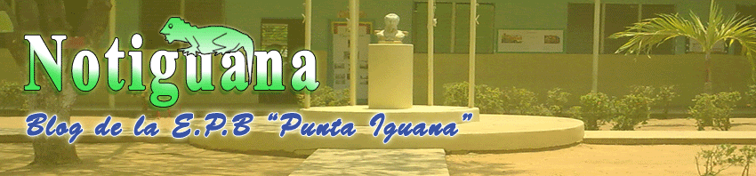 Notiguana - Blog